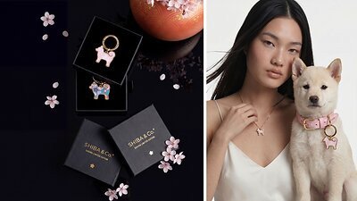 SHIBA & CO. LAUNCHES SAKURA LIMITED EDITION