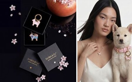 SHIBA & CO. LAUNCHES SAKURA LIMITED EDITION