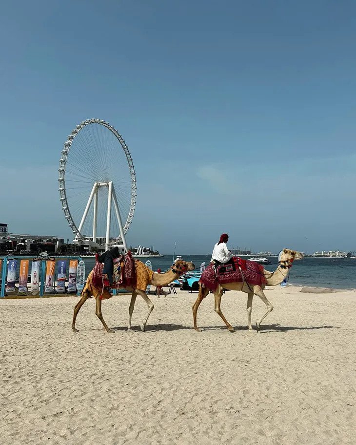 دبي بين عبق الماضي وجرأة المستقبل: كيف صنعت العمارة هوية مدينة عالمية؟