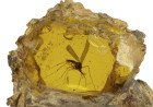  THE JURASSIC PARK MOSQUITO THAT STARTED IT ALL TO BE OFFERED AT AUCTION FOR THE FIRST TIME