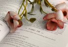 كتب قادت رواد أعمال ومشاهير نحو النجاح