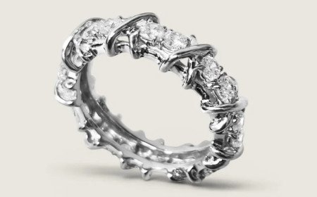THE CADENCE ETERNITY BAND BY FANTASIA DE SERIO