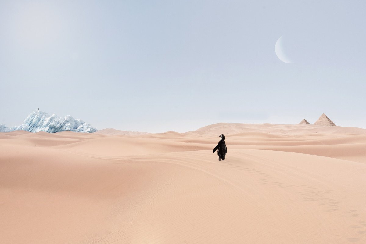   NEW STUDY REVEALS MAJOR IMPACT OF CLIMATE CHANGE ON SKIN HEALTH WORLDWIDE