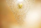   FRED CELEBRATES ITS 90TH ANNIVERSARY WITH MONSIEUR FRED GOLDEN LIGHT: THE FINAL CHAPTER OF ITS HIGH JEWELRY TRILOGY