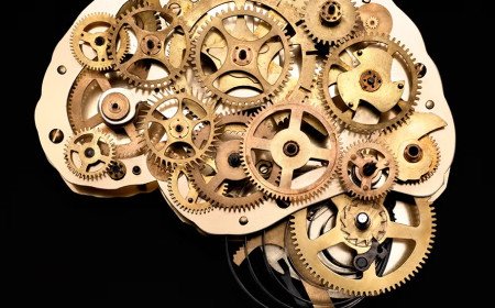 5 استراتيجيات علمية لتقوية الذاكرة وتجنب التدهور المعرفي