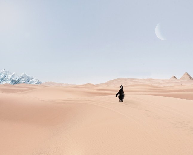   NEW STUDY REVEALS MAJOR IMPACT OF CLIMATE CHANGE ON SKIN HEALTH WORLDWIDE