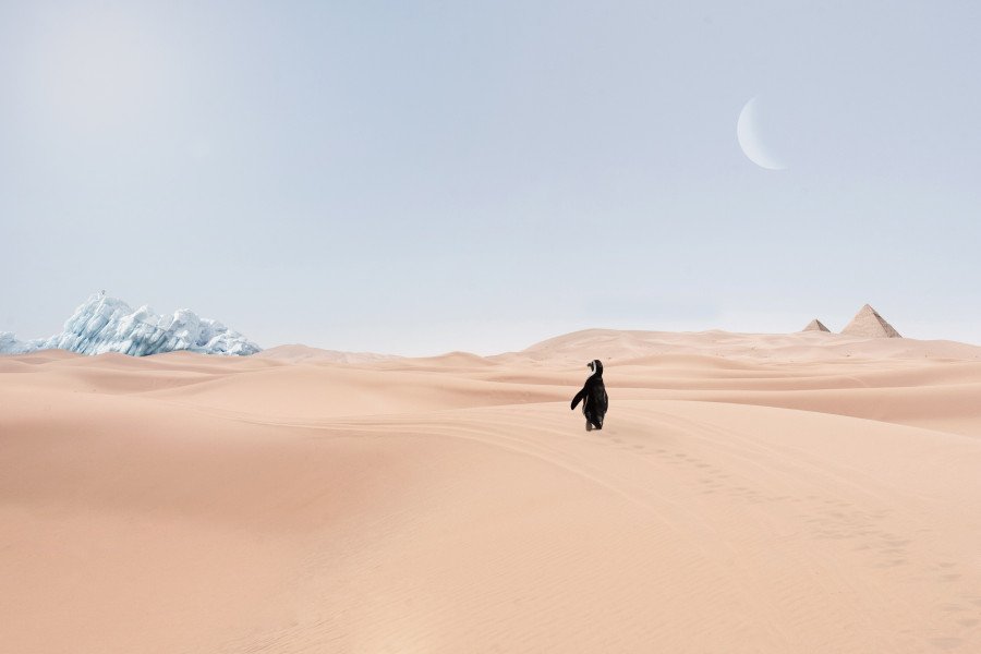   NEW STUDY REVEALS MAJOR IMPACT OF CLIMATE CHANGE ON SKIN HEALTH WORLDWIDE