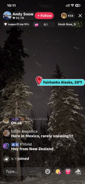   SNOWING IN FAIRBANKS, ALASKA