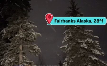   SNOWING IN FAIRBANKS, ALASKA