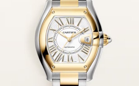  ROADSTER WATCH FOR MEN BY CARTIER